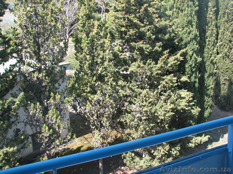 Рыбачье (КРЫМ)  из Харькова 2013 - <ro>Изображение</ro><ru>Изображение</ru> #6, <ru>Объявление</ru> #686281