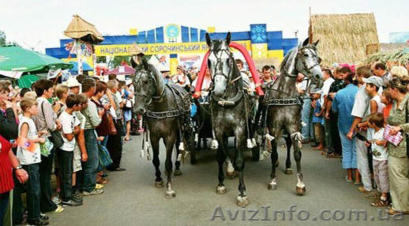 Ближайшие сборные туры из Харькова. Нвигатор Украина. Туры в Святогорск - <ro>Изображение</ro><ru>Изображение</ru> #3, <ru>Объявление</ru> #682365