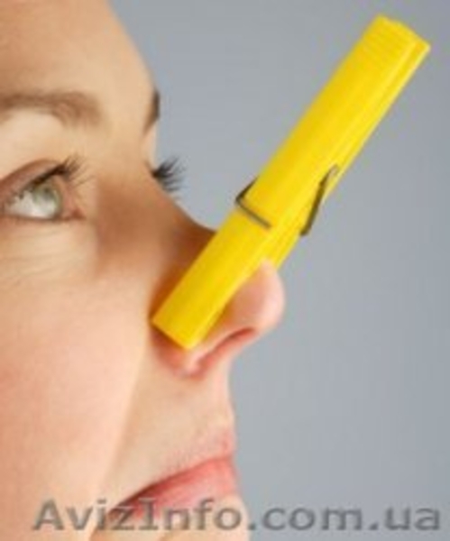 Озонирование. Дезинфекция. Сонация. Убрать запах. Грибок на стенах - <ro>Изображение</ro><ru>Изображение</ru> #1, <ru>Объявление</ru> #708120