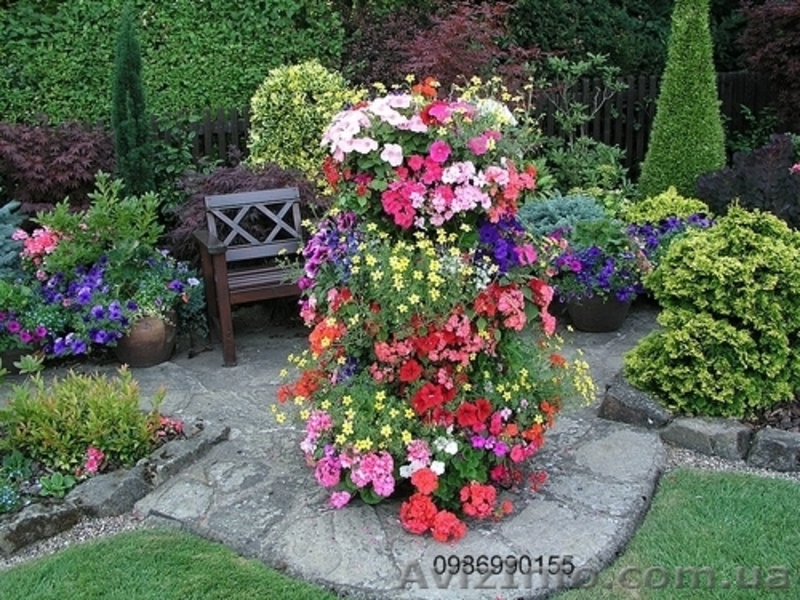 Благоустройство и Озеленение участка. - <ro>Изображение</ro><ru>Изображение</ru> #3, <ru>Объявление</ru> #728739