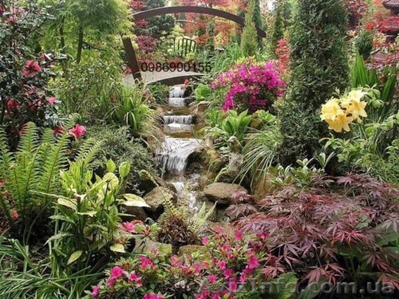 Благоустройство и Озеленение участка. - <ro>Изображение</ro><ru>Изображение</ru> #2, <ru>Объявление</ru> #728739