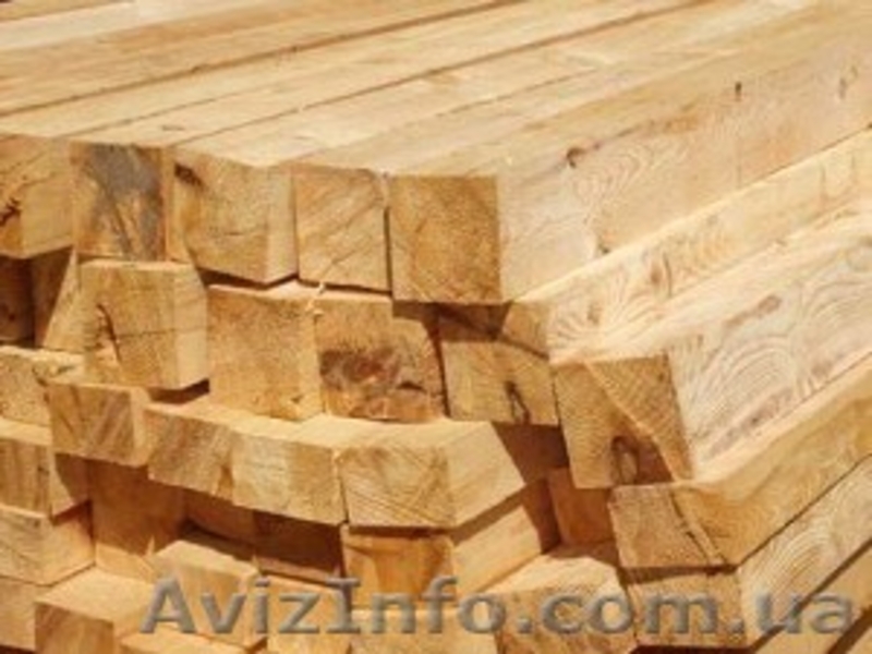 Лиственница сибирская Харьков Украина - <ro>Изображение</ro><ru>Изображение</ru> #6, <ru>Объявление</ru> #153179