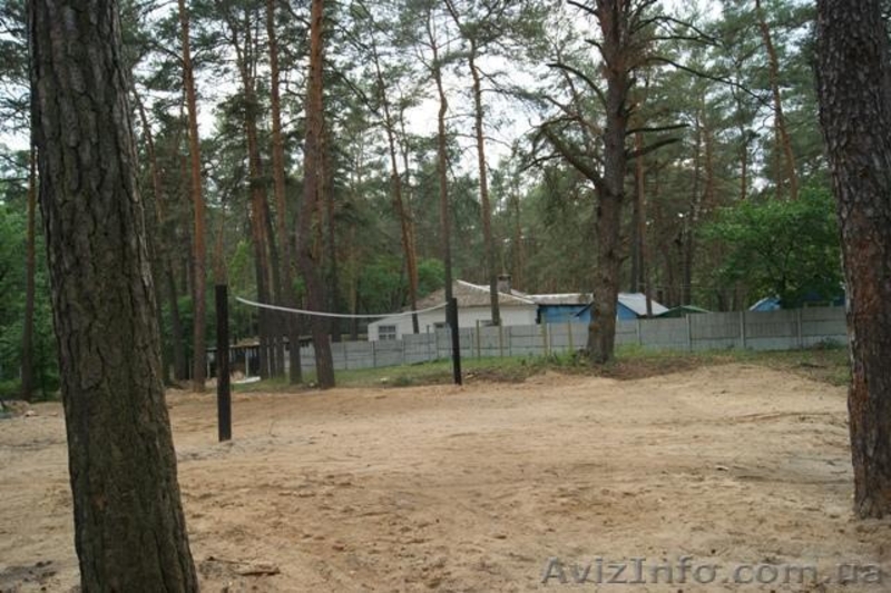 База отдыха "Малиновка" - <ro>Изображение</ro><ru>Изображение</ru> #6, <ru>Объявление</ru> #726763