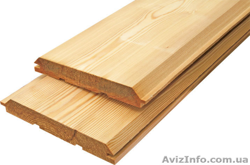 Лиственница сибирская Харьков Украина - <ro>Изображение</ro><ru>Изображение</ru> #5, <ru>Объявление</ru> #153179