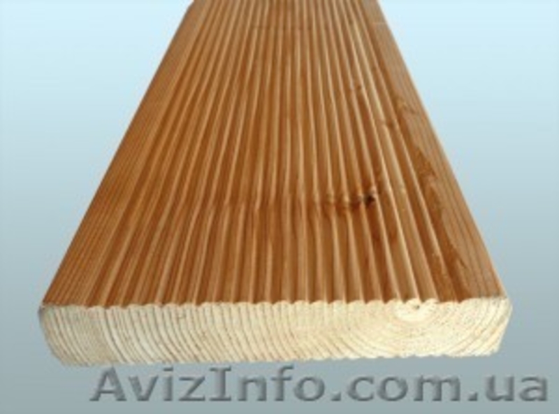 Лиственница сибирская Харьков Украина - <ro>Изображение</ro><ru>Изображение</ru> #4, <ru>Объявление</ru> #153179