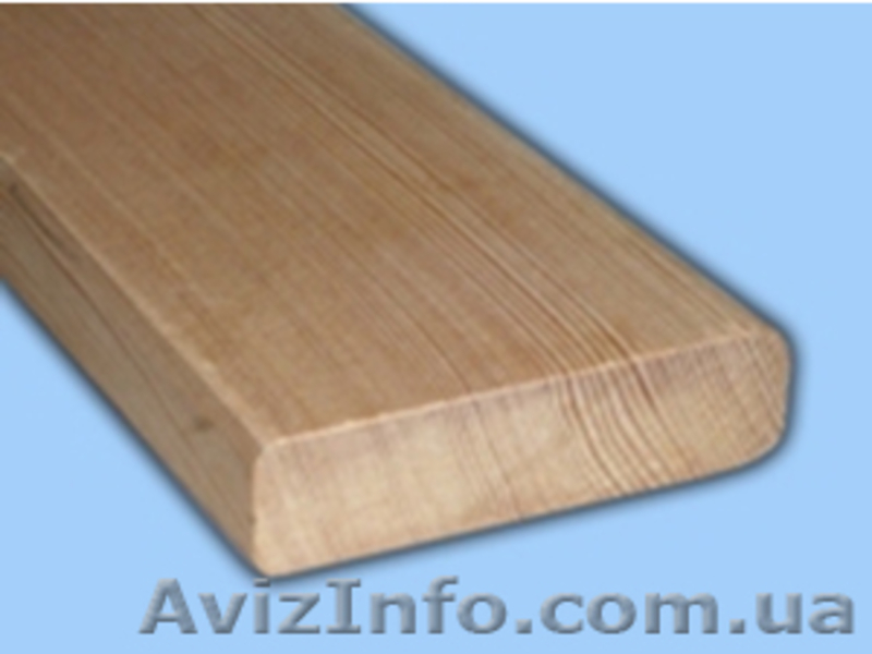 Лиственница сибирская Харьков Украина - <ro>Изображение</ro><ru>Изображение</ru> #3, <ru>Объявление</ru> #153179