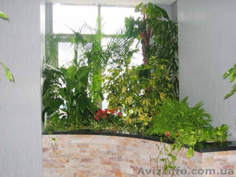 проектировка и дизайн - <ro>Изображение</ro><ru>Изображение</ru> #4, <ru>Объявление</ru> #711905