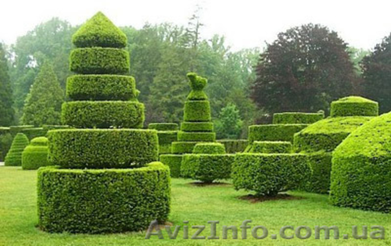  професиональный уход за садом - <ro>Изображение</ro><ru>Изображение</ru> #3, <ru>Объявление</ru> #711892