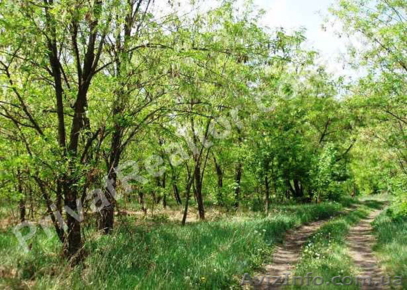 Участок 48 соток, красная линия трассы, 10 км от Харькова. - <ro>Изображение</ro><ru>Изображение</ru> #3, <ru>Объявление</ru> #745262