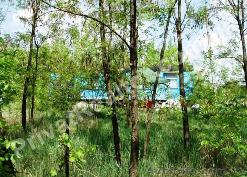 Участок 48 соток, красная линия трассы, 10 км от Харькова. - <ro>Изображение</ro><ru>Изображение</ru> #4, <ru>Объявление</ru> #745262