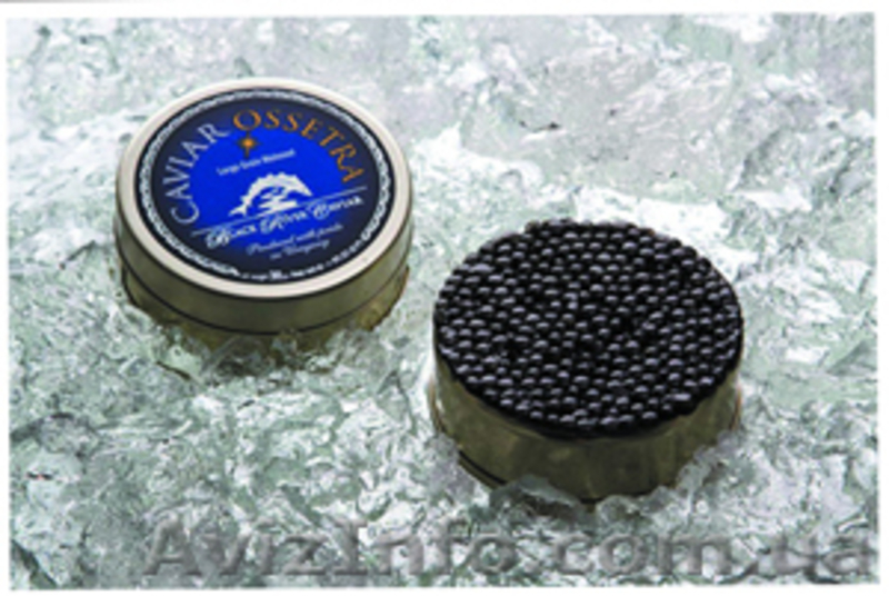 Черная осетровая икра ТМ Zarendom (Зарендом, Царендом) - <ro>Изображение</ro><ru>Изображение</ru> #8, <ru>Объявление</ru> #741041