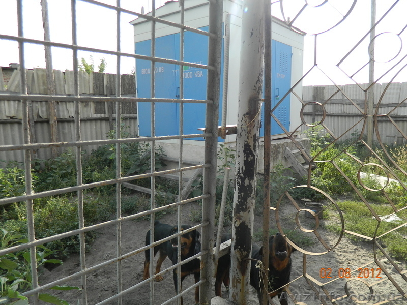 Общество с ограниченной ответственностью МВ "Пласт" - <ro>Изображение</ro><ru>Изображение</ru> #9, <ru>Объявление</ru> #740998