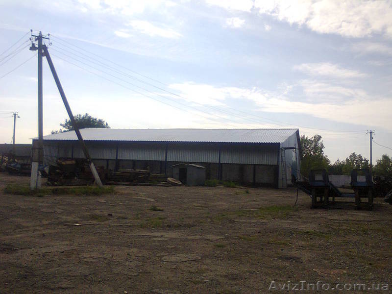Холодный склад,навес,ангар,металлоконструкции - <ro>Изображение</ro><ru>Изображение</ru> #8, <ru>Объявление</ru> #746353