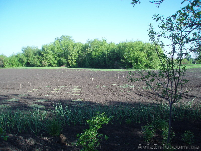 Дом 80м2 с уч 34 сот  - <ro>Изображение</ro><ru>Изображение</ru> #3, <ru>Объявление</ru> #762858