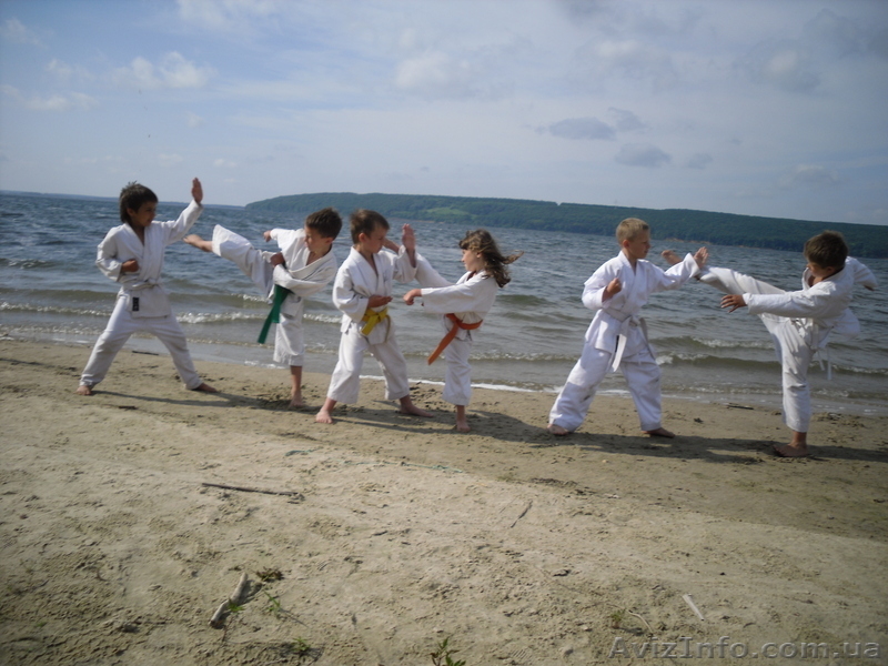 Спортивный клуб шотокан каратэ-до ФиС БУДО - <ro>Изображение</ro><ru>Изображение</ru> #4, <ru>Объявление</ru> #767753