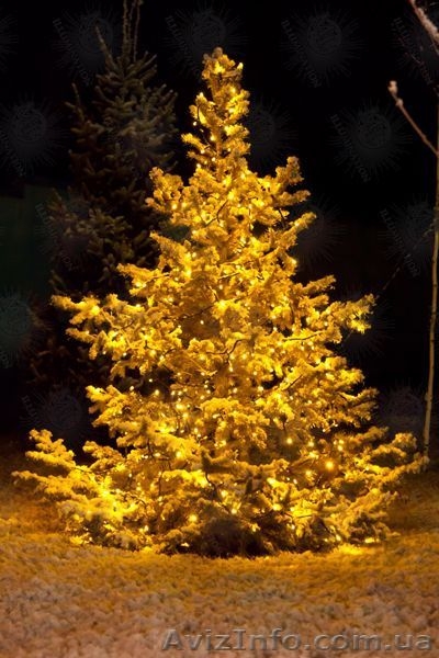 Новогодняя гирлянда - <ro>Изображение</ro><ru>Изображение</ru> #1, <ru>Объявление</ru> #793388