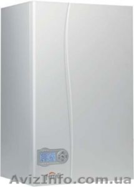 Газовые настенные котлы Ferroli - <ro>Изображение</ro><ru>Изображение</ru> #3, <ru>Объявление</ru> #792964