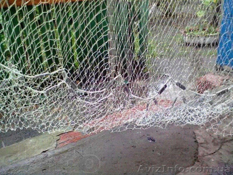 Кастинговая сеть - <ro>Изображение</ro><ru>Изображение</ru> #2, <ru>Объявление</ru> #809292