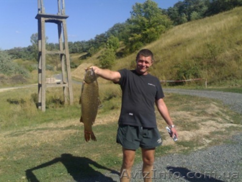 около 50 га водного фонда - <ro>Изображение</ro><ru>Изображение</ru> #4, <ru>Объявление</ru> #807366