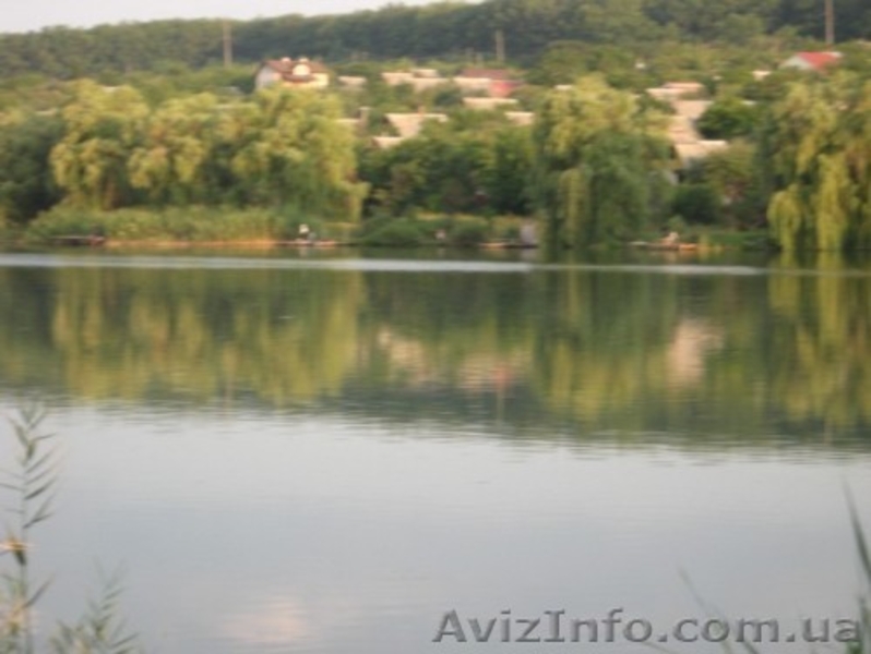 около 50 га водного фонда - <ro>Изображение</ro><ru>Изображение</ru> #3, <ru>Объявление</ru> #807366
