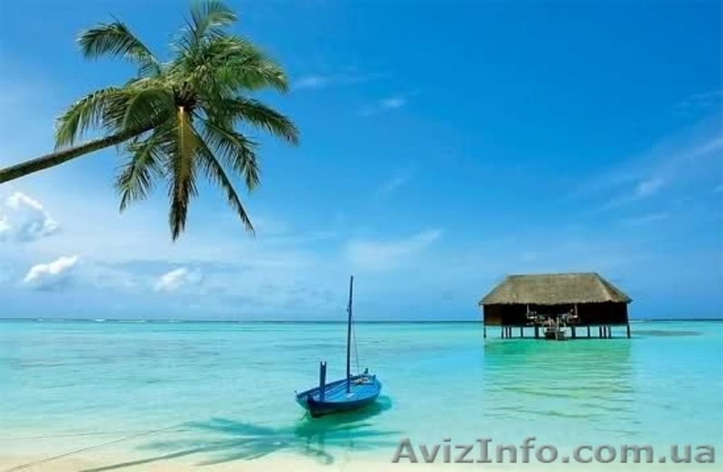 Сеть агентств Соната. Отдел в Харькове в ТЦ \"Движение\" - <ro>Изображение</ro><ru>Изображение</ru> #3, <ru>Объявление</ru> #807013