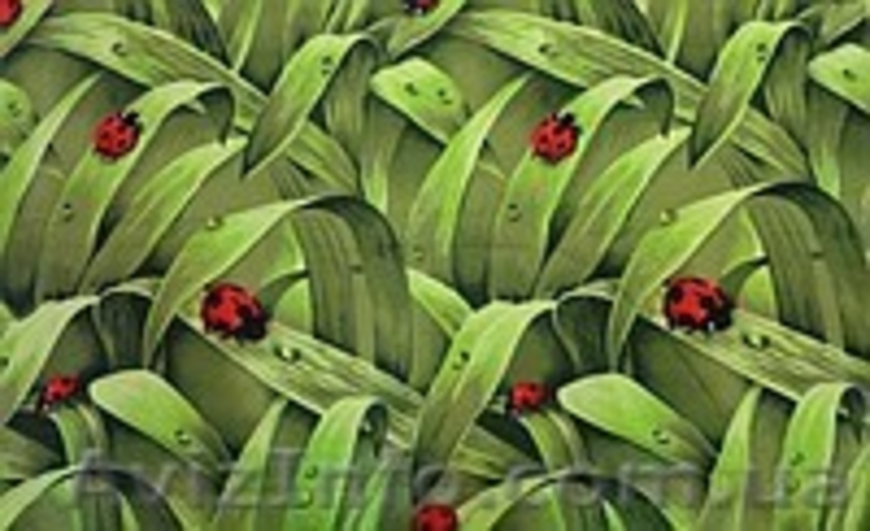 ТИК,БЯЗЬ,ХОЛЛОФАЙБЕР - <ro>Изображение</ro><ru>Изображение</ru> #4, <ru>Объявление</ru> #828629