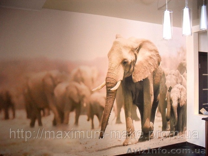 Печать на ткани и фотообои от MAXIMUM  - <ro>Изображение</ro><ru>Изображение</ru> #4, <ru>Объявление</ru> #820297