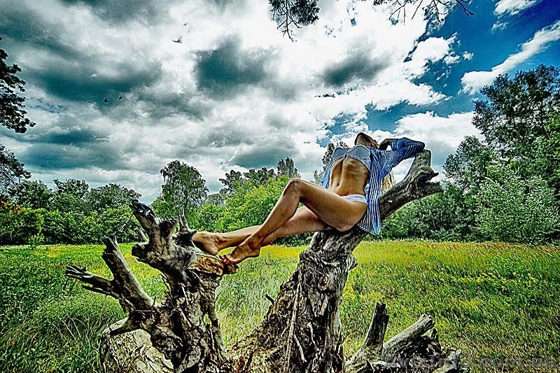 Фотограф Юрий Артюх. Харьков. - <ro>Изображение</ro><ru>Изображение</ru> #3, <ru>Объявление</ru> #821813