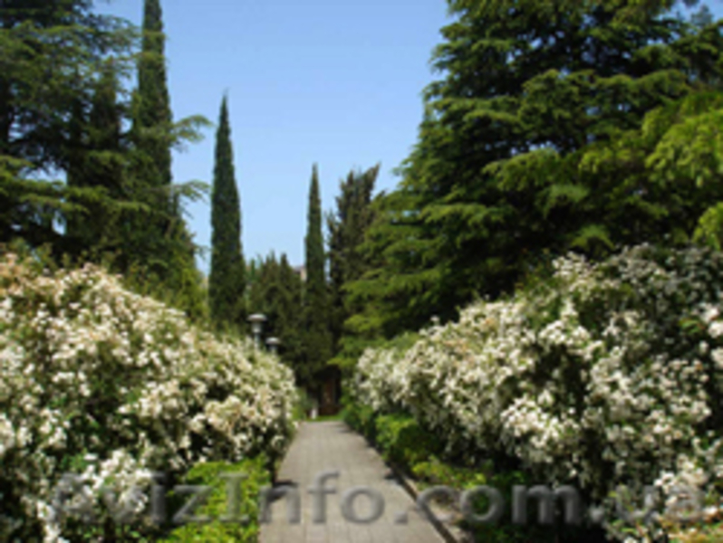 Май в Алуште из Харькова! Увлекательные туры  в Крым из Харькова 2013 - <ro>Изображение</ro><ru>Изображение</ru> #5, <ru>Объявление</ru> #531161