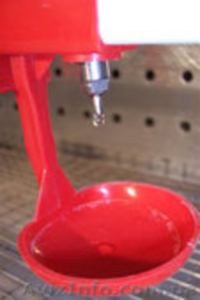 Ниппельные поилки для перепелов, кур и кроликов. - <ro>Изображение</ro><ru>Изображение</ru> #7, <ru>Объявление</ru> #4030