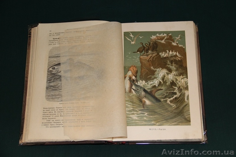 Десятитомник "Жизнь животных" А.Э. Брэма.  Изд. Товарищества "Общественная польз - <ro>Изображение</ro><ru>Изображение</ru> #3, <ru>Объявление</ru> #853062