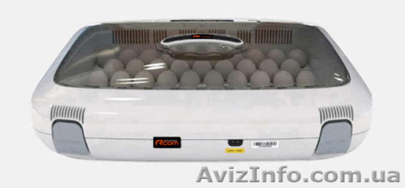 Продам корейский автоматический инкубатор R-Com 50  - <ro>Изображение</ro><ru>Изображение</ru> #1, <ru>Объявление</ru> #868862