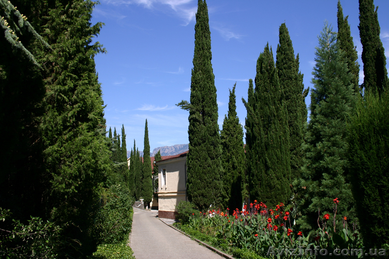 Крым из Харькова 2013. Пансионаты, санатории Крыма. ЮБК. Летний отдых - <ro>Изображение</ro><ru>Изображение</ru> #5, <ru>Объявление</ru> #592966