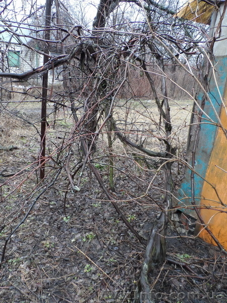 Продам дачу на ХТЗ, РТС, СТ «Тракторостроитель». 2500 долл - <ro>Изображение</ro><ru>Изображение</ru> #10, <ru>Объявление</ru> #866414