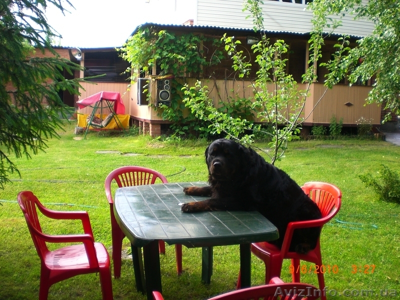     Отдых на уютной даче в деревне Студенок  и 2 ком.квартира в центре - <ro>Изображение</ro><ru>Изображение</ru> #4, <ru>Объявление</ru> #553374