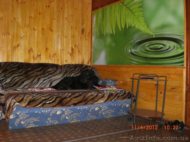     Отдых на уютной даче в деревне Студенок  и 2 ком.квартира в центре - <ro>Изображение</ro><ru>Изображение</ru> #8, <ru>Объявление</ru> #553374