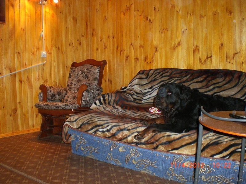     Отдых на уютной даче в деревне Студенок  и 2 ком.квартира в центре - <ro>Изображение</ro><ru>Изображение</ru> #9, <ru>Объявление</ru> #553374