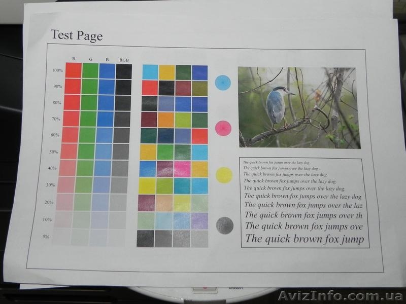 Продам цветной копир Minolta bizhub C451 - <ro>Изображение</ro><ru>Изображение</ru> #4, <ru>Объявление</ru> #875844