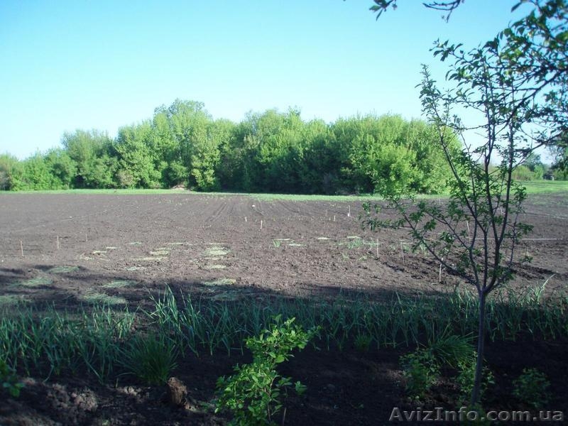 дом 4 комн с уч 35сот в области - <ro>Изображение</ro><ru>Изображение</ru> #5, <ru>Объявление</ru> #876588