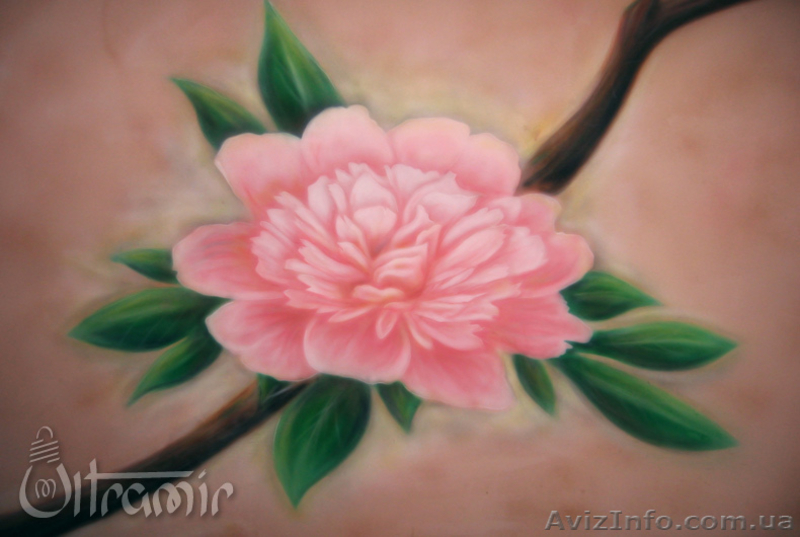 художественная роспись интерьеров, фасадов, аэрография транспорта - <ro>Изображение</ro><ru>Изображение</ru> #3, <ru>Объявление</ru> #882204