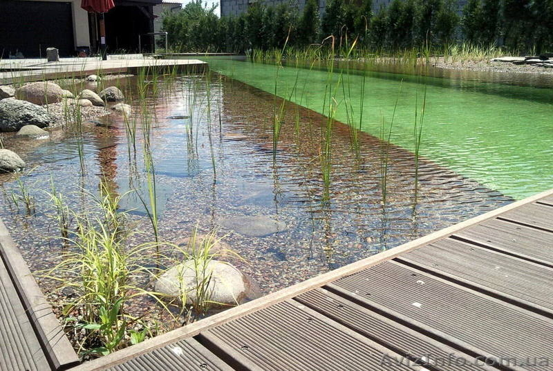 Пруды. искусственные водоемы, проекты водоемов - <ro>Изображение</ro><ru>Изображение</ru> #4, <ru>Объявление</ru> #891978