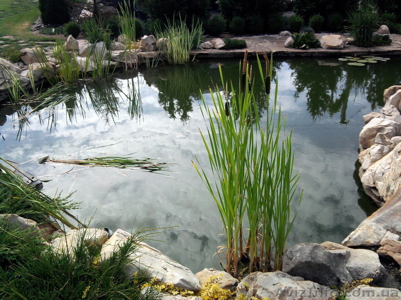 Пруды. искусственные водоемы, проекты водоемов - <ro>Изображение</ro><ru>Изображение</ru> #3, <ru>Объявление</ru> #891978