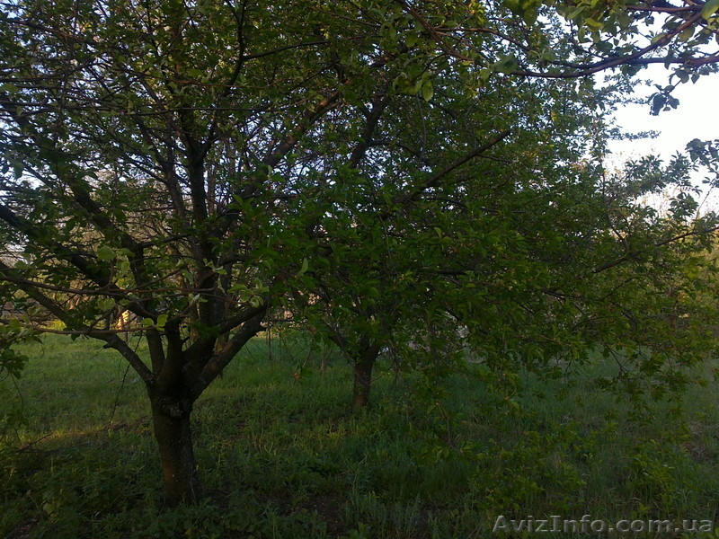 продам дачный участок   в волчанском районе   пгт. старый салтов     . - <ro>Изображение</ro><ru>Изображение</ru> #7, <ru>Объявление</ru> #894511