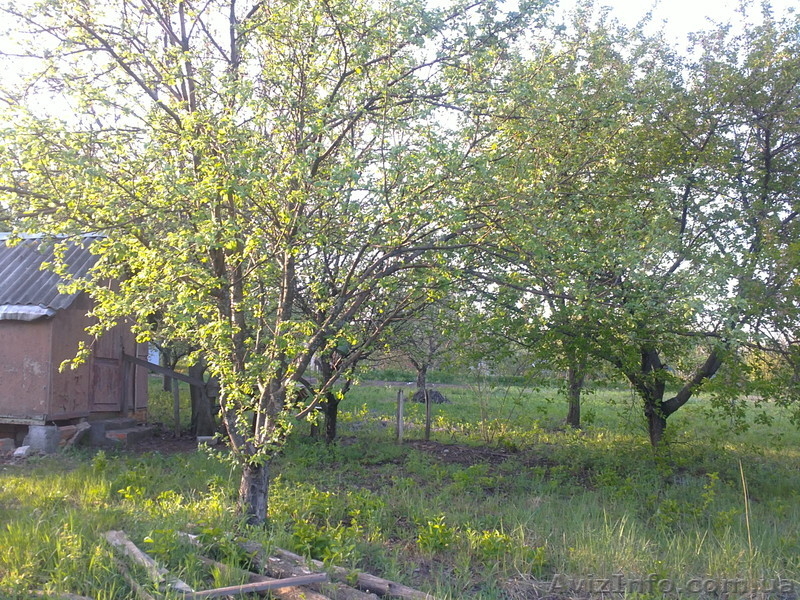 продам дачный участок   в волчанском районе   пгт. старый салтов     . - <ro>Изображение</ro><ru>Изображение</ru> #8, <ru>Объявление</ru> #894511