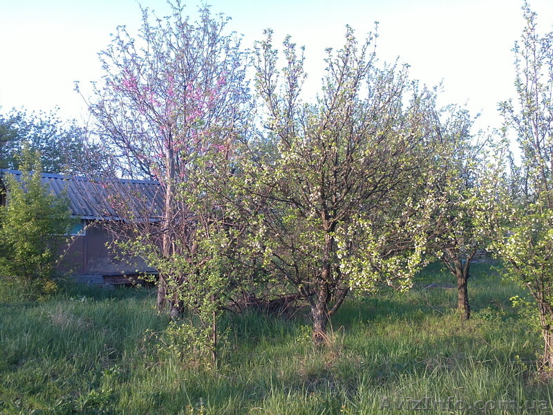продам дачный участок   в волчанском районе   пгт. старый салтов     . - <ro>Изображение</ro><ru>Изображение</ru> #4, <ru>Объявление</ru> #894511