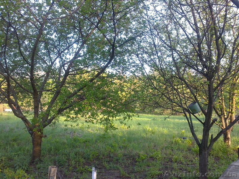 продам дачный участок   в волчанском районе   пгт. старый салтов     . - <ro>Изображение</ro><ru>Изображение</ru> #9, <ru>Объявление</ru> #894511