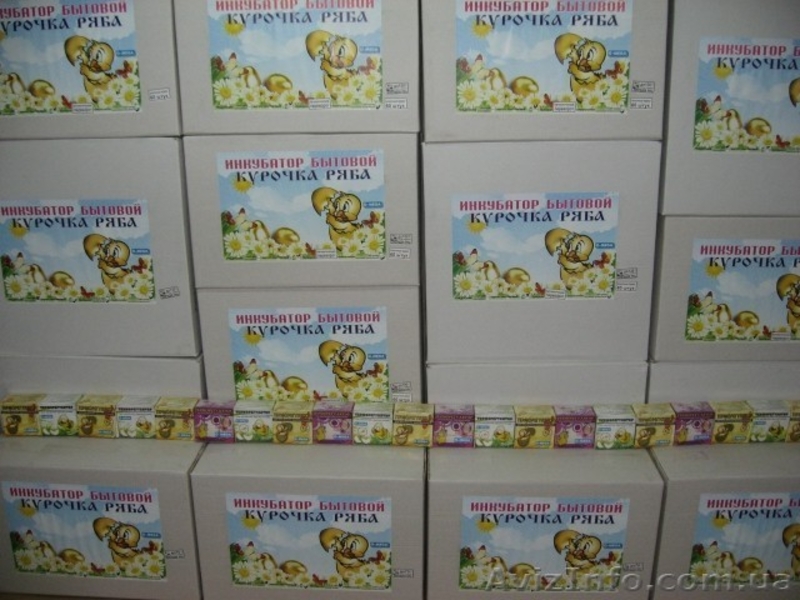 Инкубатор для перепелов - <ro>Изображение</ro><ru>Изображение</ru> #5, <ru>Объявление</ru> #893400