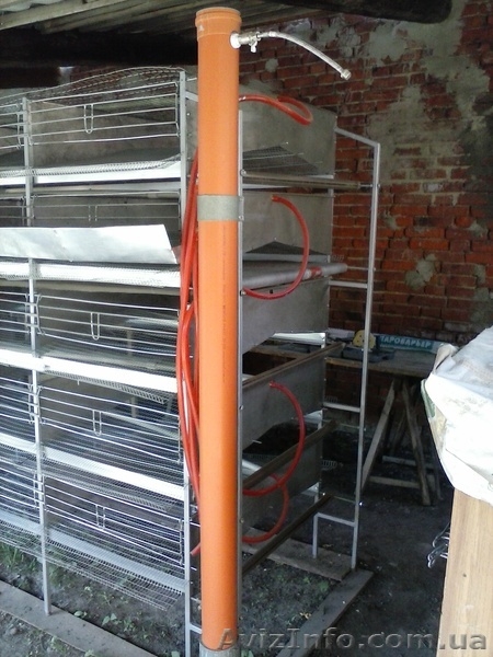 Батарея для перепелов (2000шт.) - <ro>Изображение</ro><ru>Изображение</ru> #3, <ru>Объявление</ru> #896817