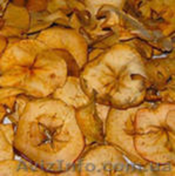 Реализуем по сезону укроп кабачки перец тыква сухофрукты соления яблоки груши  - <ro>Изображение</ro><ru>Изображение</ru> #5, <ru>Объявление</ru> #899491