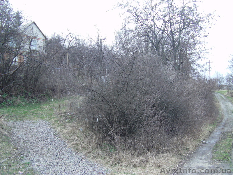 Продам свой приусадебный участок с домом. - <ro>Изображение</ro><ru>Изображение</ru> #5, <ru>Объявление</ru> #894674